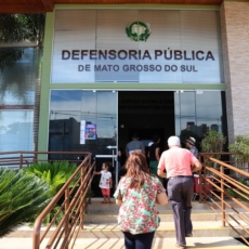 Acesso à justiça e a discricionariedade na Defensoria Pública