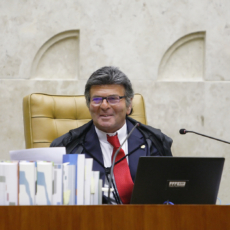O Supremo Tribunal Federal e o CADE