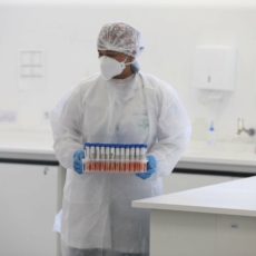 Coronavírus e o laboratório das contratações públicas