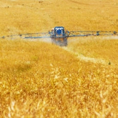 CNA e MAPA: tirar benefícios fiscais de agrotóxicos vai aumentar preço dos alimentos