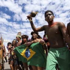 ADPF 709: a voz indígena contra o genocídio