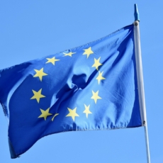 Regulações da UE e o conflito entre proteção ambiental e acesso a mercados