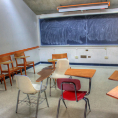 Calendário escolar: Conselho Nacional de Educação e a federação