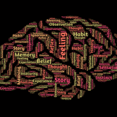 Direito e neurociência: por que uma opção pelo ‘pragmatismo profundo’?
