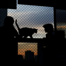 Pandemia: um ano depois, o Brasil se fecha novamente