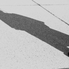 Autonomia universitária em tempos de autoritarismo