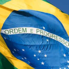 Freios e contrapesos e políticas públicas em tempos de Covid-19