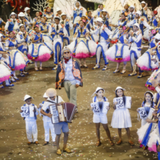 Festejos juninos versus meio ambiente