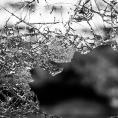 Quando o Poder Judiciário silencia: agravamento da violência contra a mulher?