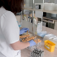 Anvisa altera exigências para exames laboratoriais