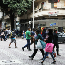 A (re)criação do CNDC