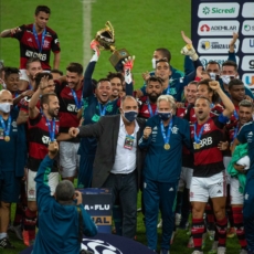 Quantas mortes valem um gol? Da responsabilidade civil dos clubes e federações