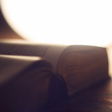 O iluminismo sem laicidade: o papel do STF na separação entre Estado e religião