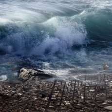 O tsunami das fake news no TSE: diagnósticos e desafios à vista