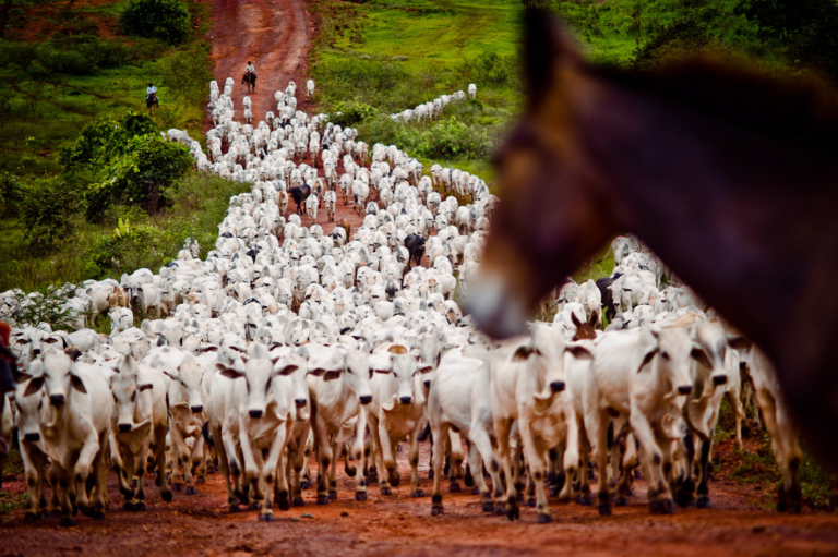 Cédula de Produto Rural
