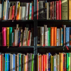 Reforma e isenção: por que os livros?