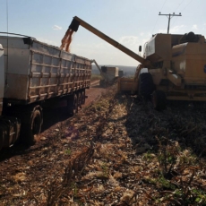 Cenário de incertezas impõe desafios e oportunidades ao agro