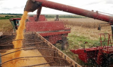 Recuperação judicial do agro: facilidade de adesão ou penalização a boas práticas?