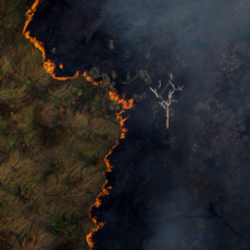 A proteção do meio ambiente e a improbidade administrativa