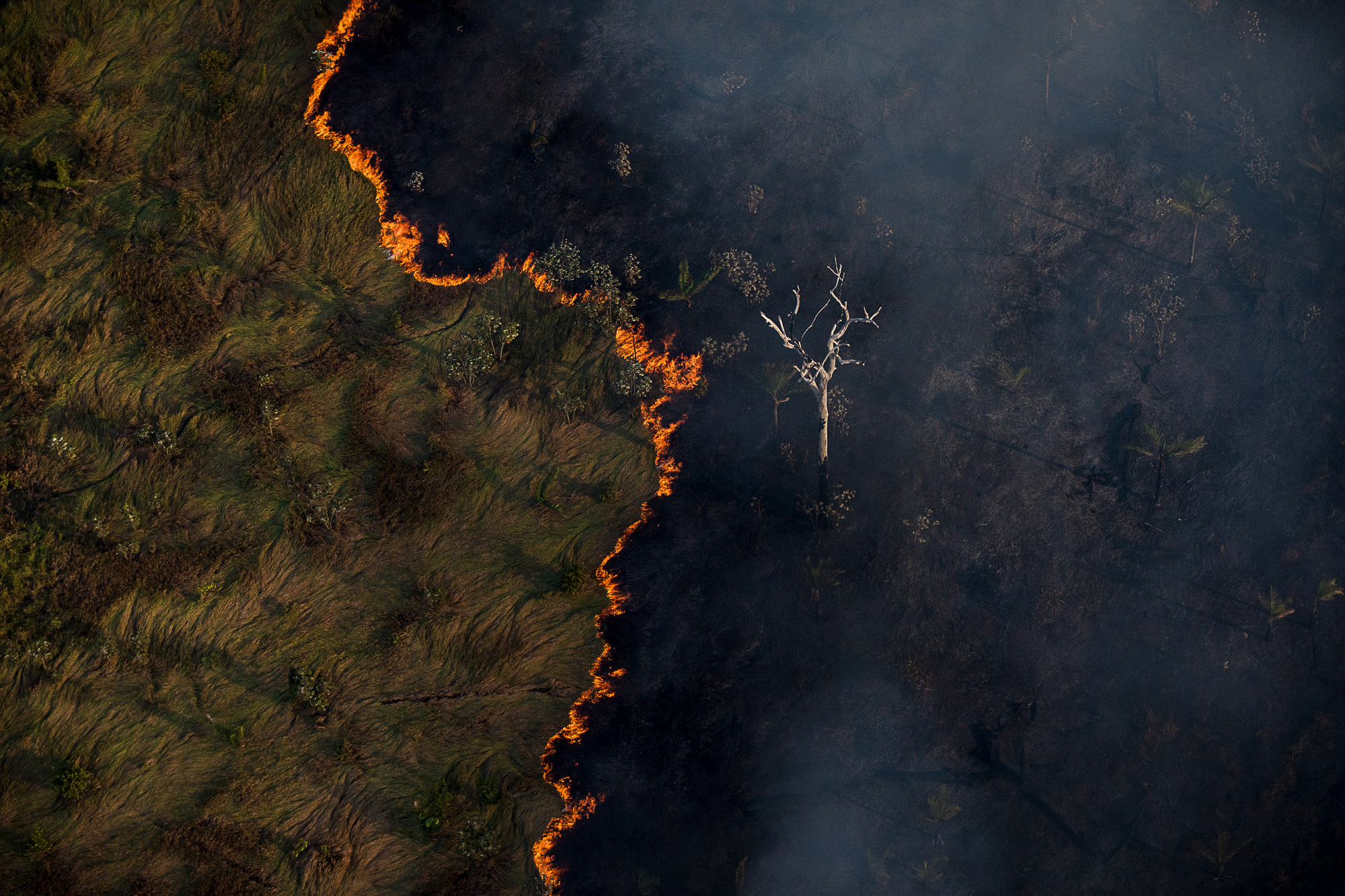 Brasil em Chamas: do Pantanal à Amazônia, a destruição não respeita  fronteiras - Greenpeace Brasil