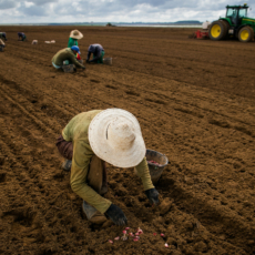 O Funrural nas exportações indiretas