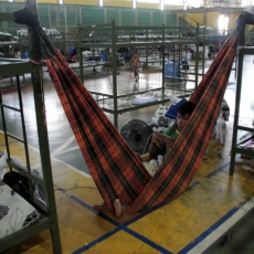 Migração de indígenas Warao e desafios na defesa de direitos