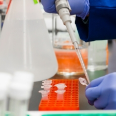Engenharia genética e divisão de tarefas