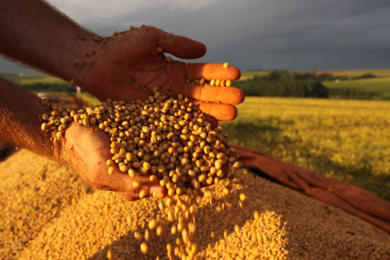 soja agro produtor rural recuperação judicial