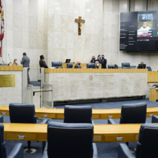 Candidaturas e mandatos coletivos