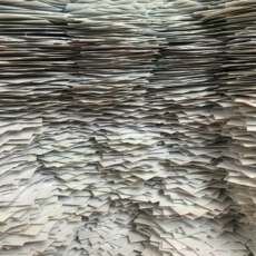 Primeiras impressões dos recentes projetos de ação coletiva