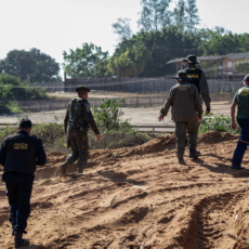 A grilagem de terras e a reforma agrária no estado de Rondônia