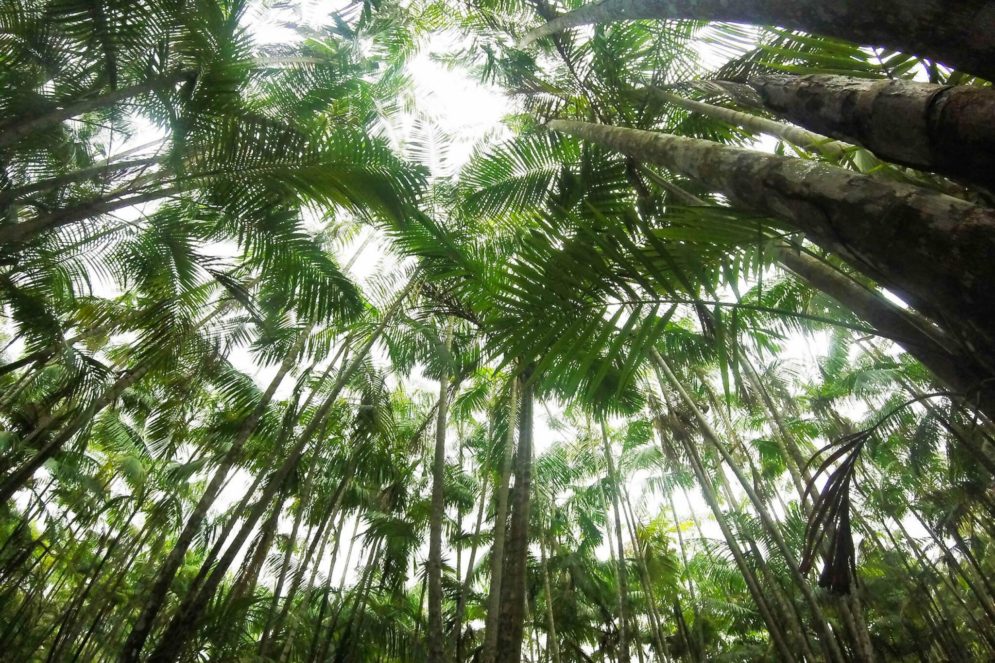 Tecnologia verde no contexto das patentes