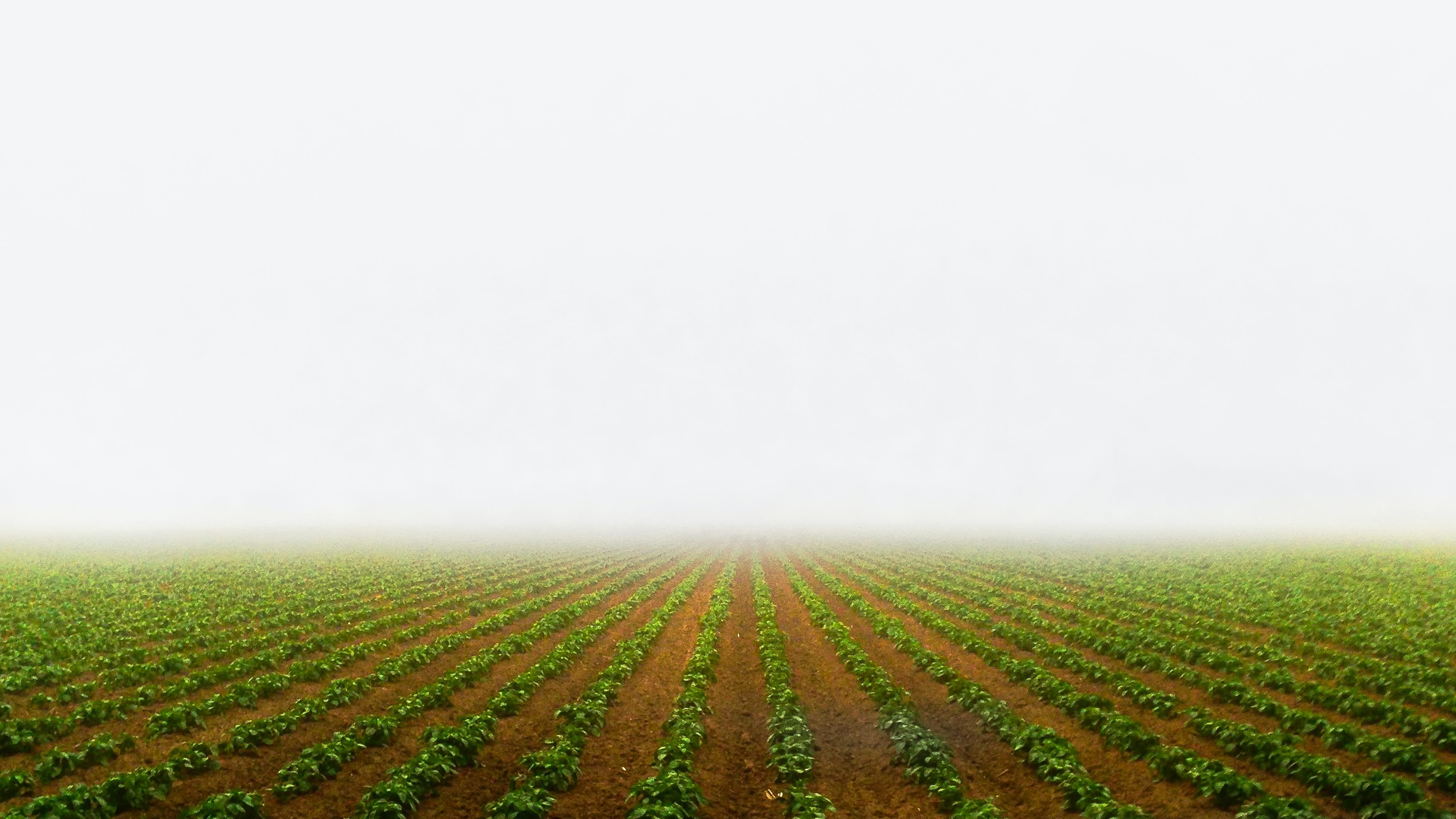 Agricultura familiar
