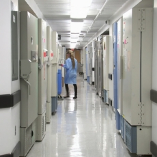 Seguradora não pode cancelar plano de saúde sem notificação prévia, decide TJDFT