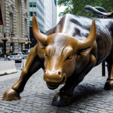 O touro de Wall Street e o boi na floresta