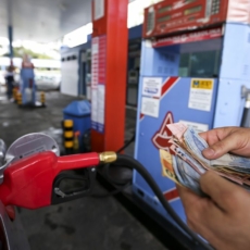 A distribuição de combustíveis e o paralelismo de preços