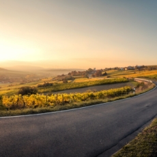 Desafios da mobilidade rural: novos panoramas com o PL 1146/2021