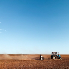 Agronegócio e o PL 4588/21: Desintegração das cadeias agroindustriais