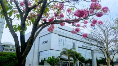 Cade já condenou três empresas por ‘sham litigation’