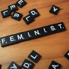 Neste 8 de março, por que celebrar o constitucionalismo feminista?