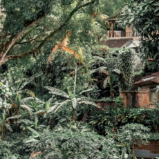 PL do licenciamento ambiental avança no Senado e deve ser votado no plenário na 4ª (21/5)