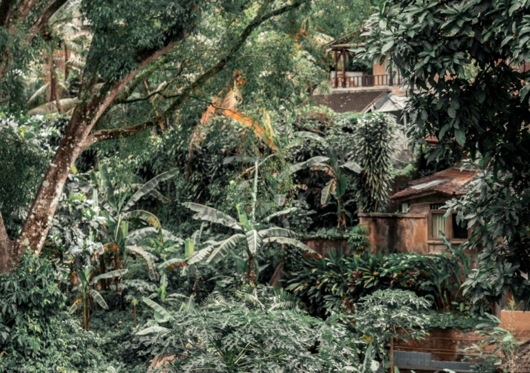o que é licenciamento ambiental