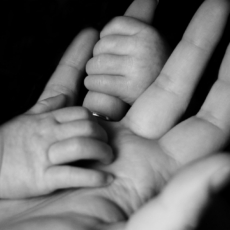 O 8 de março e a licença parental compartilhada