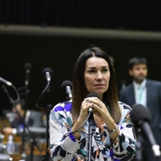 Câmara aprova PEC que anistia partidos por descumprirem cotas para mulheres