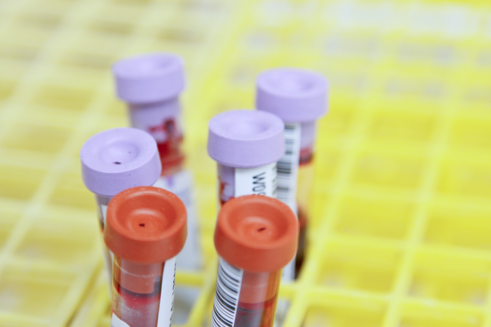 exames toxicológicos