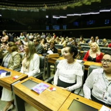 Orçamentos (in)sensíveis a gênero no Brasil