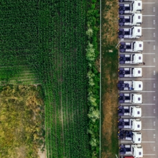O impacto das decisões administrativas no agronegócio