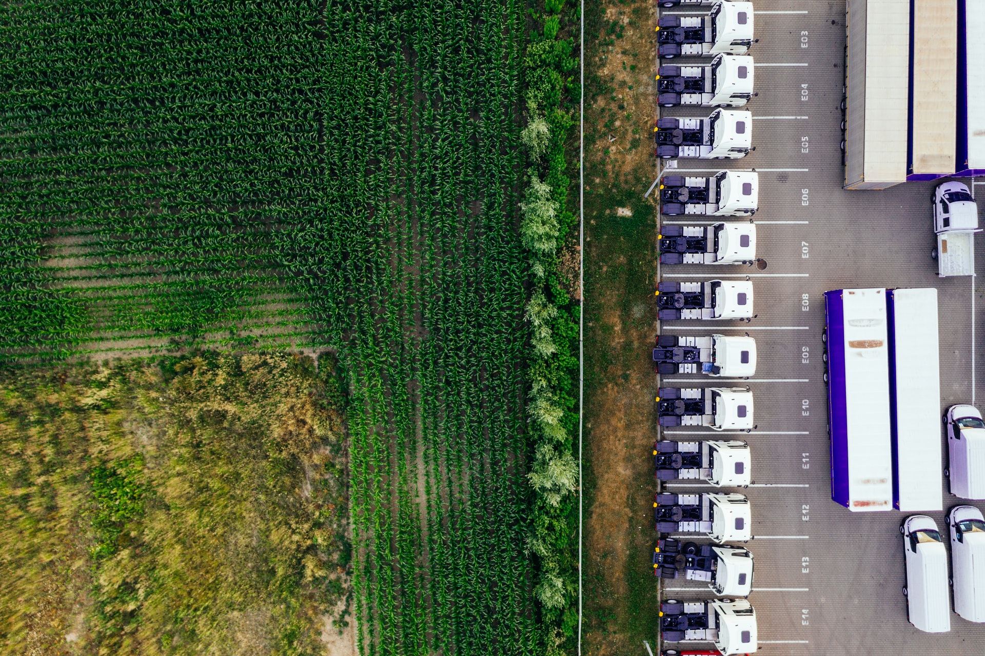 O impacto das decisões administrativas no agronegócio