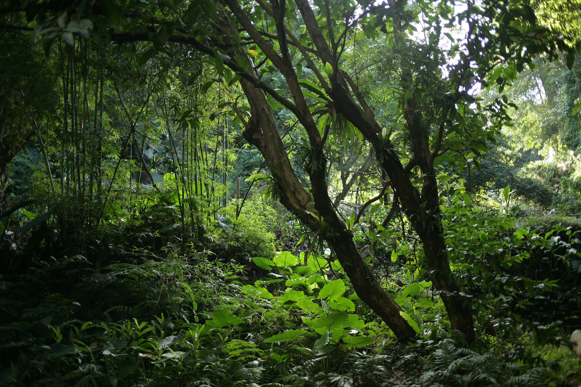 Área de Proteção Ambiental