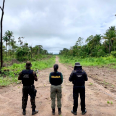 Ação no STF cobra da União atuação imediata contra garimpo ilegal em terra Yanomami